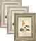 5x7 Picture Frame White Green Gold Set of 3, Vintage Antique Retro Photo Frame Desk(White&Green)7"L x 5"W